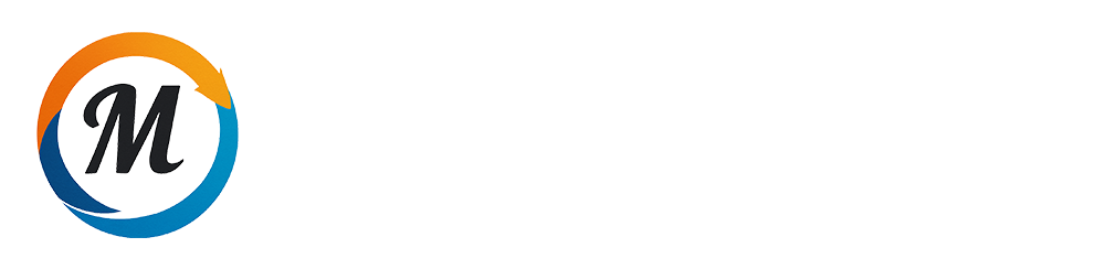沖縄メタリス